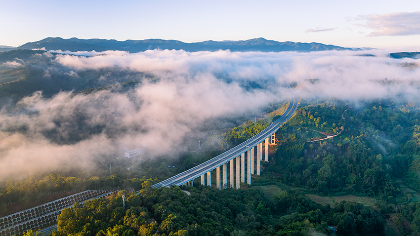 1763092866280902.jpg 西双版纳是我国热带生态系统.jpg