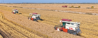 1763449575803752.jpg 图为收割机在江苏.jpg