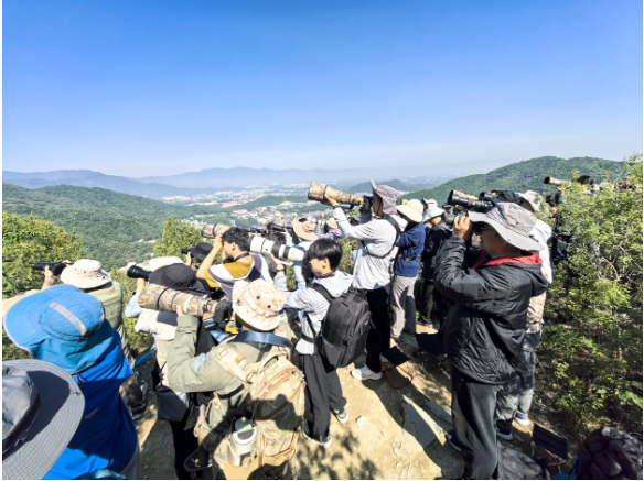 1763539310846200.png 百望山猛禽监测点观察猛禽的人群。.png