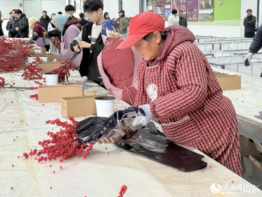 1764140207425619.png 车间工人正在打包北美冬青。.png