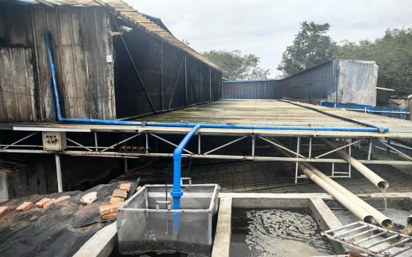 1764329784705272.png 南雄市水口镇海兰养猪场的排气口(1.png