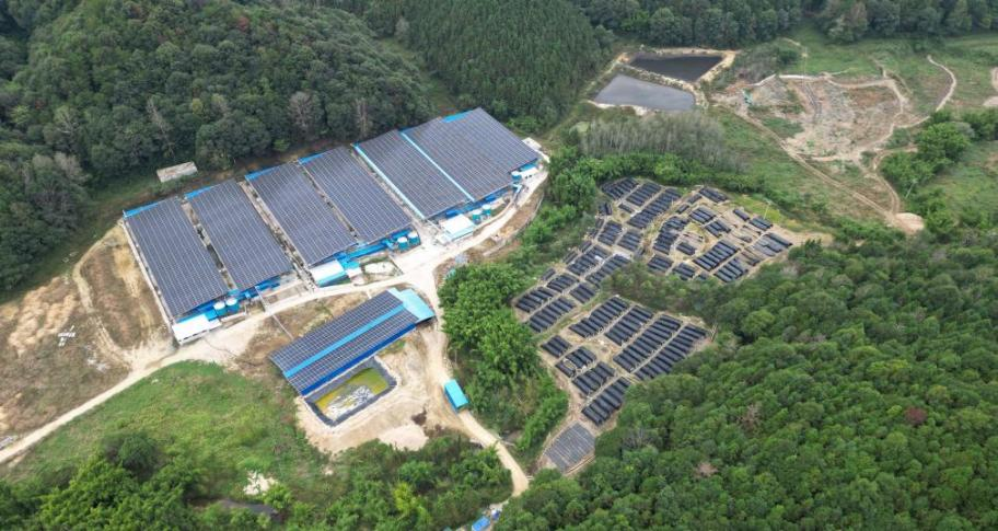 1764329816801741.png 位于始兴县司前镇的亿丰现代农业有限公司.png