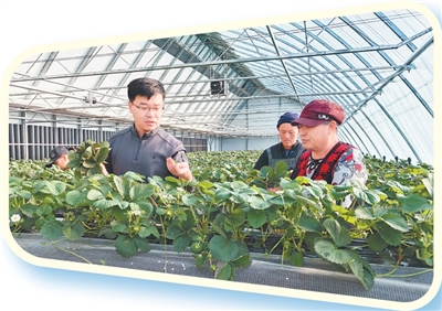 1764648842237681.jpg 绥东村党支部书记曲向亮(前左)与村民一起疏.jpg