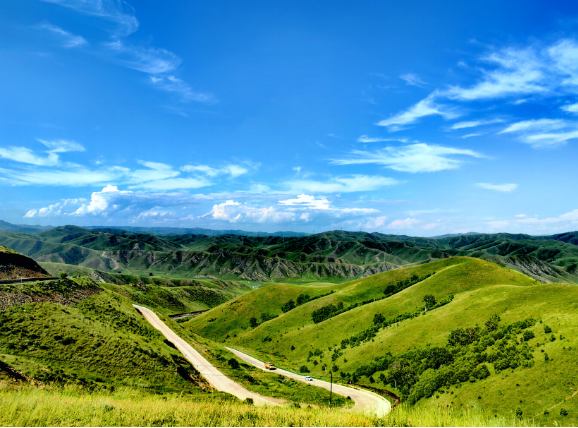 1764674492666215.png 大青山保护区。1.png