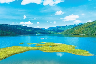 1773897737475528.jpeg 云南迪庆藏族自治州普达措春季景色。.jpeg