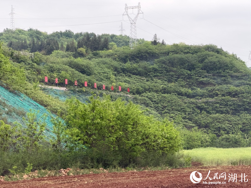 1776142830400576.jpg 边坡植被生长良好。人.jpg